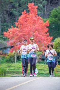 BIB: 1504, 6011
                            <button type="button" onclick="openModal(19240773)" class="btn btn-primary btn-sm float-right btn-popup" data-toggle="modal" data-target=".modal-high-quality">
                        <i class="fas fa-shopping-cart"></i> Add to Cart
                    </button>
                                            <button type="button" onclick="isThisMe(19240773, true)" class="btn btn-success btn-sm float-right btn-popup btn-isme hidden" data-toggle="tooltip" data-placement="bottom" title="นี่คือรูปของคุณใช่ไหม คลิกที่นี่เพื่อเอาเข้าอัลบั้ม">
                        <i class="fas fa-plus"></i> Add to album
                    </button>
                    <button type="button" onclick="isThisMe(19240773, false)" class="btn btn-warning btn-sm float-right btn-popup btn-isnotme hidden">
                        <i class="fas fa-ban"></i> Remove from album
                    </button>